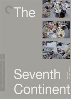 第七大陆