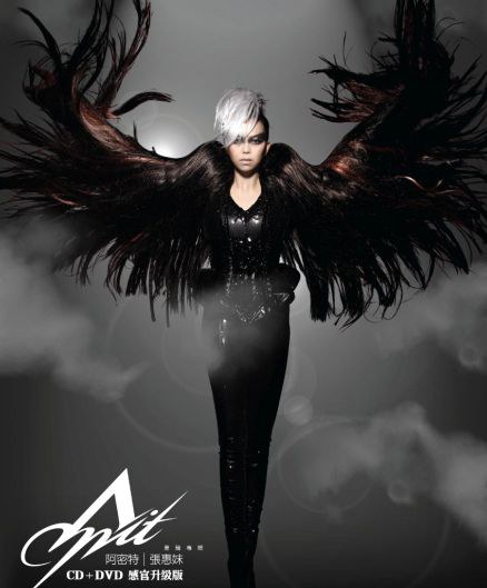 张惠妹:阿密特世界巡回演唱会